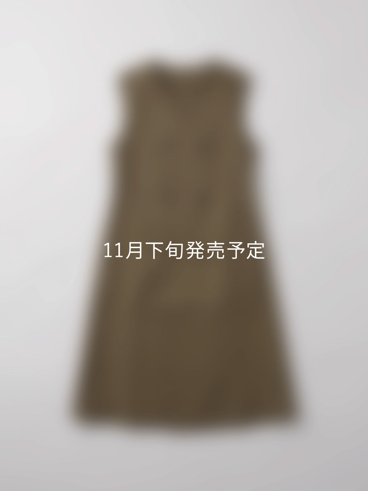 【販売開始前】ジレワンピース
